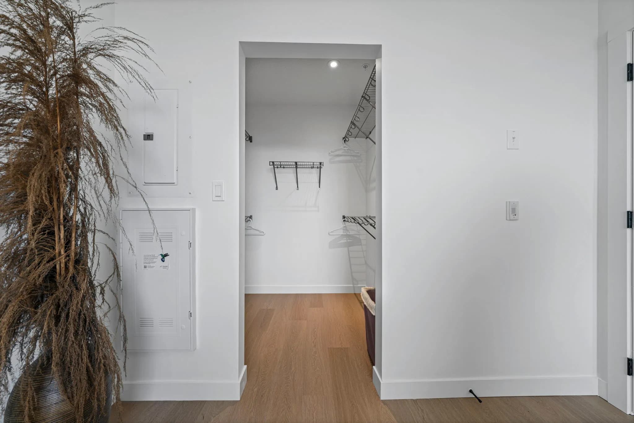 Single Family Home